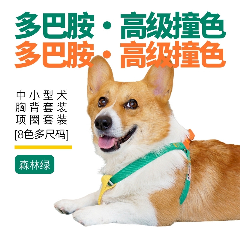 多巴胺撞色 (8).jpg