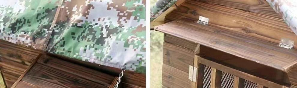 0811a182-91e1-4018-a476-983d1ef35456.jpe