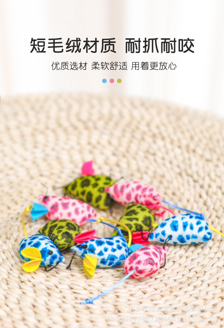 详情_05.jpg