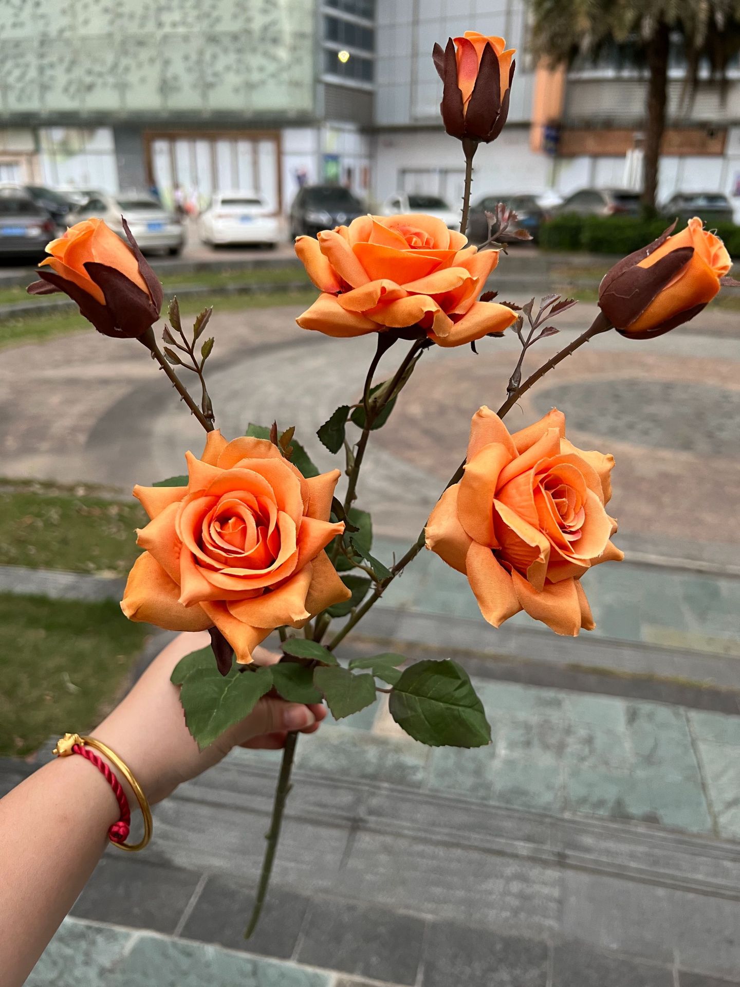 聚美-6头嫣然角玫-详情_23 (13).jpg