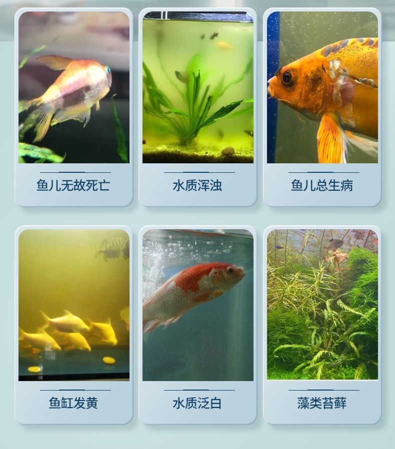 2cba3bab-8ffa-44b5-b1a0-197797dcb9d4.jpe