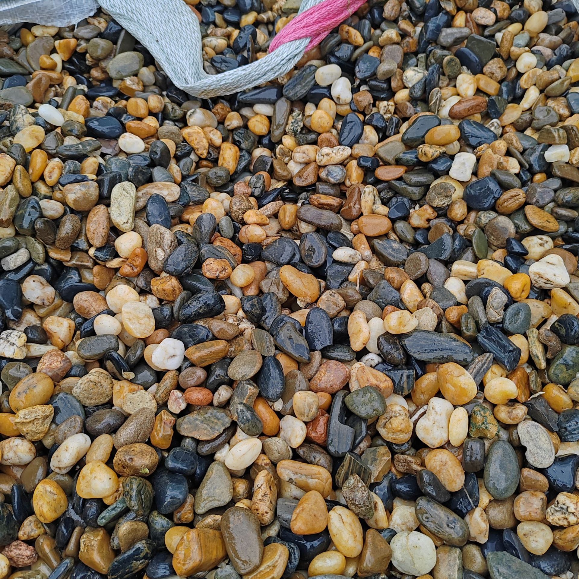 微信图片_2025-04-21_113745_866