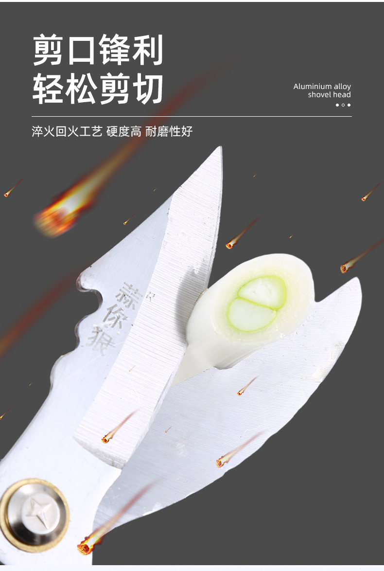 3-大蒜剪刀_05.jpg