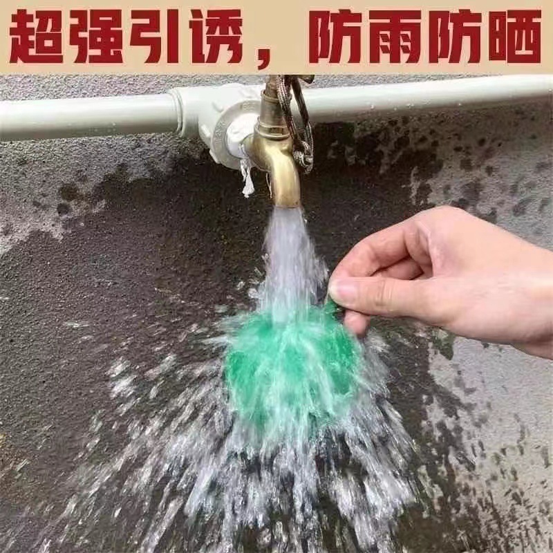 4682fbd6-ba5d-45b5-87a1-c6cb8206076a.jpe