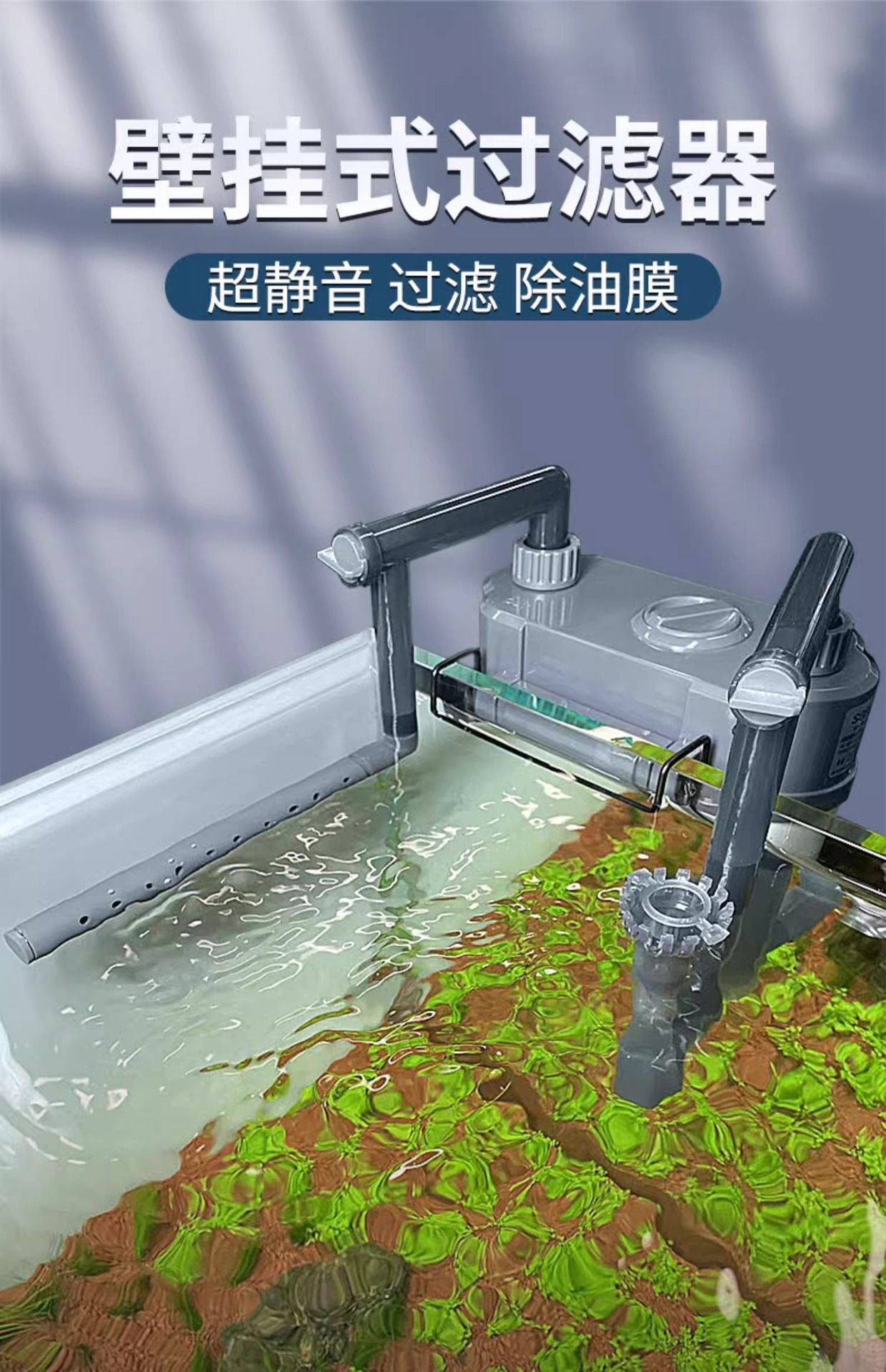 详情1.jpg