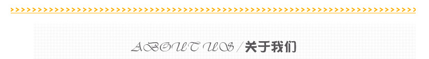关于我们