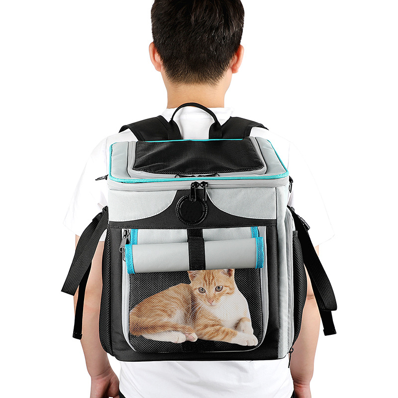 CW51671首图001 (5)