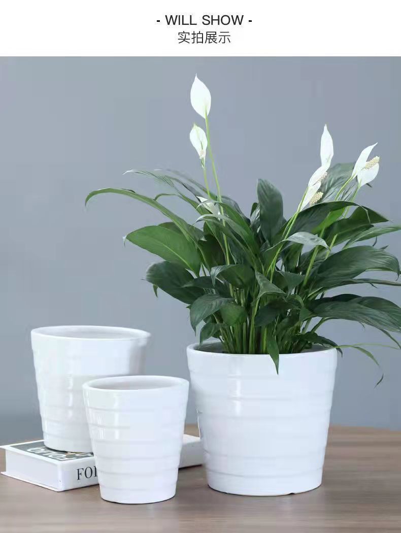 583b9903-d685-45c3-95ef-cf1d9e4e84fa.jpe