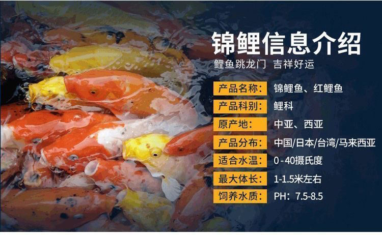 508a621a-f4ec-4acb-90b3-617a6b6e0ee3.jpe