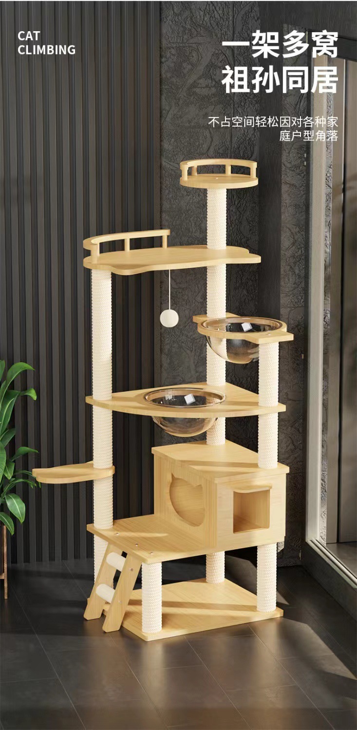 0dfe2564-9f2e-4e02-809b-bac3f0084dea.jpe