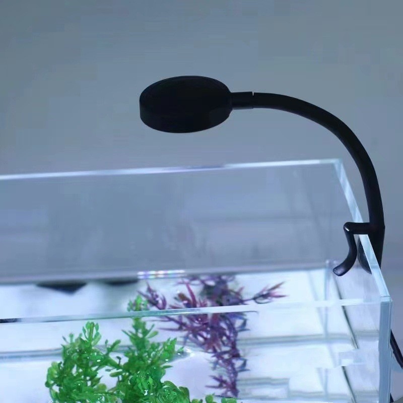 153a5026-1d31-4ee7-865f-4ff11d5eed34.jpe