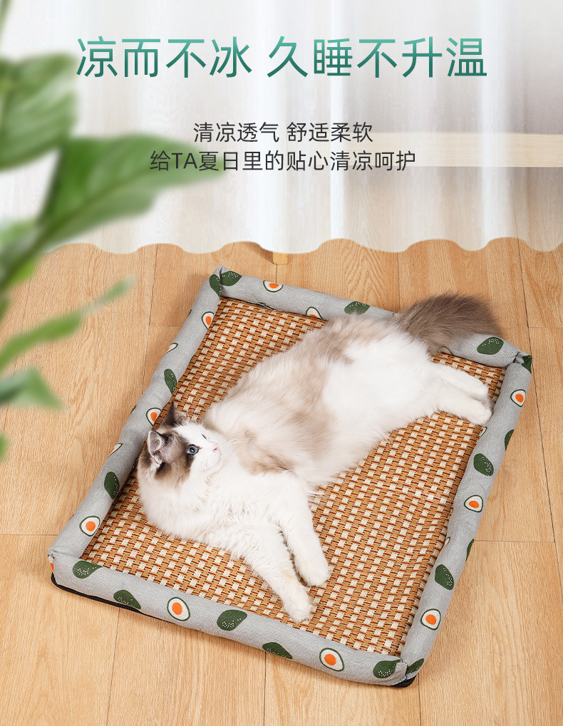 6e6f26b6-6a1f-4edf-859f-4ca36682d6f6.jpe