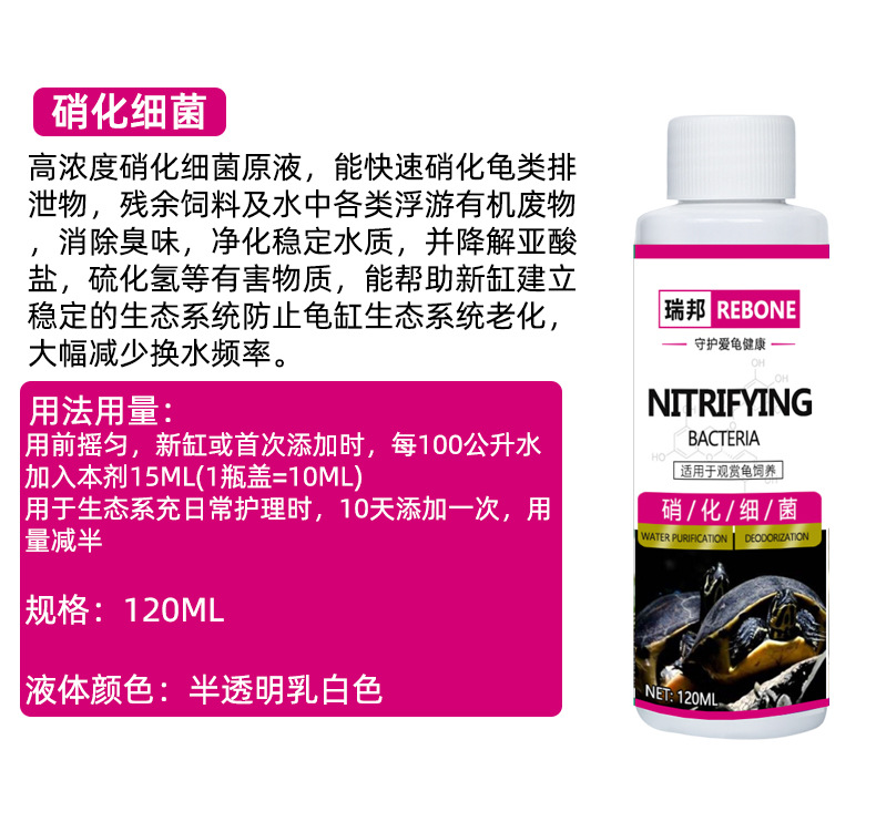乌龟详情-恢复的_12.jpg