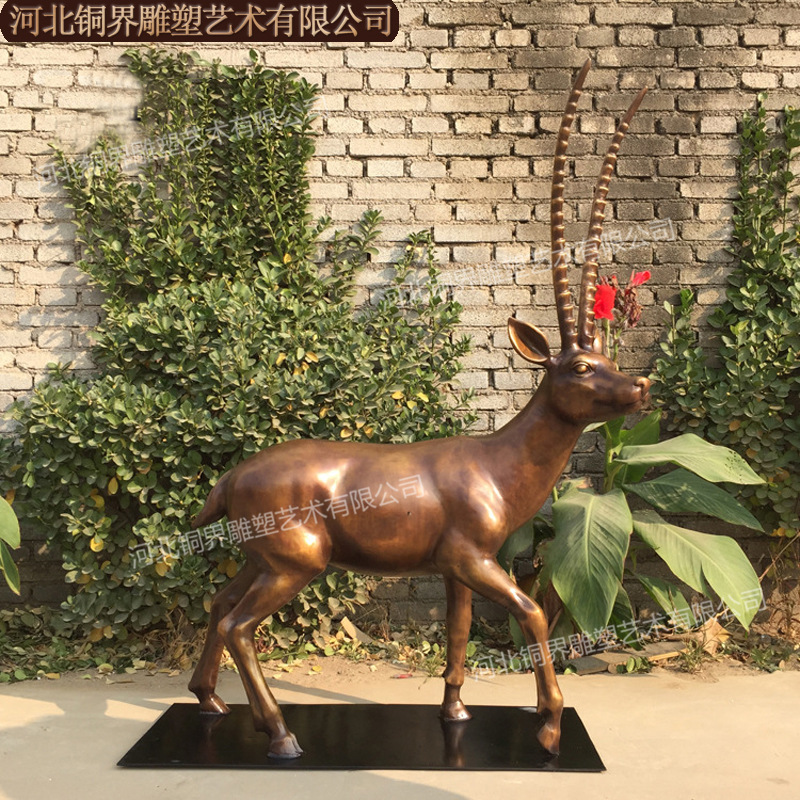 跳羚 (3).jpg