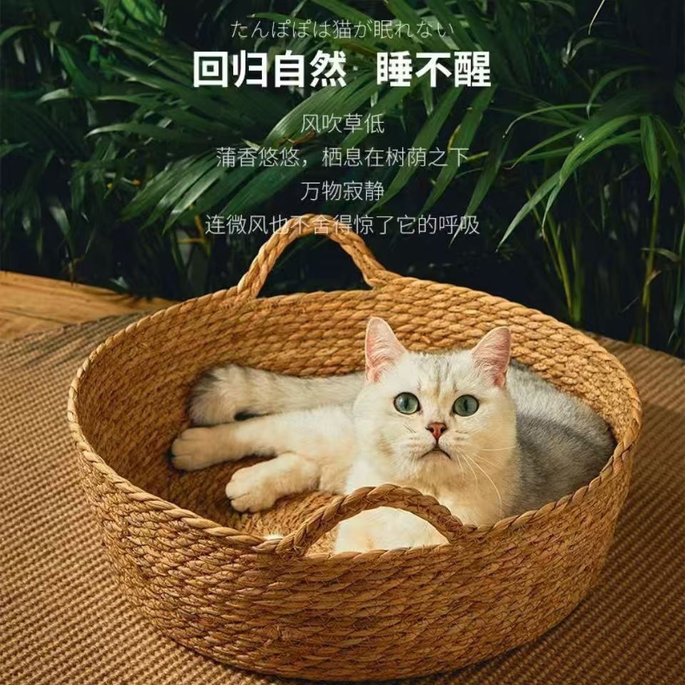 a9896bc7-4aa8-4f1d-9569-c408e8cc3d88.jpe