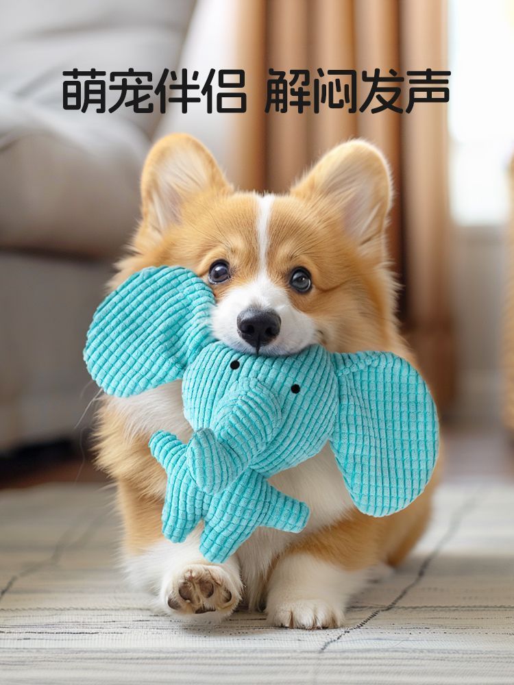 2dfffd08-83d1-472f-bdca-685edc98046e.jpe