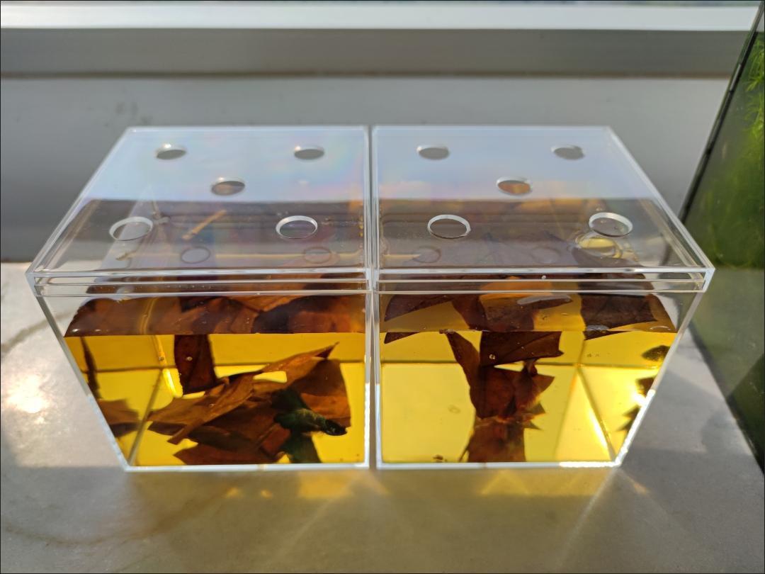 QQ图片20210723134031