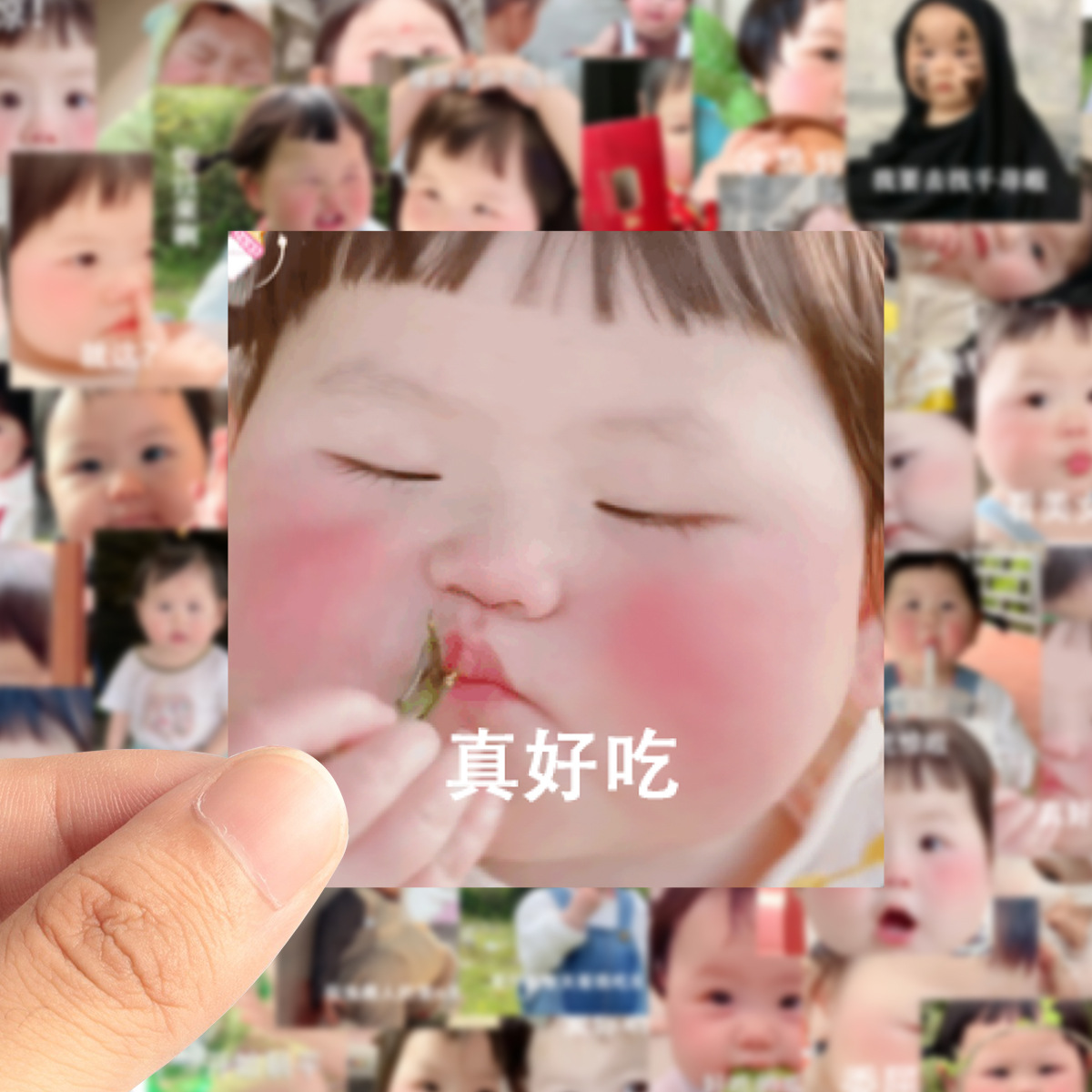 未标题-1.jpg