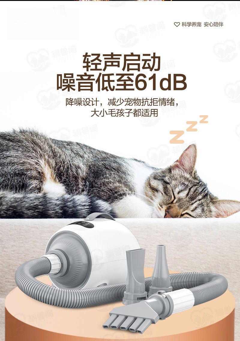 O1CN013feNte2EyPaQRdB3a_!!2218134278813-