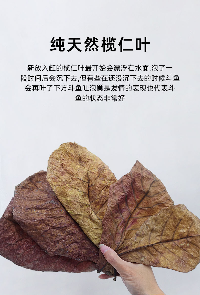 详情_05.jpg