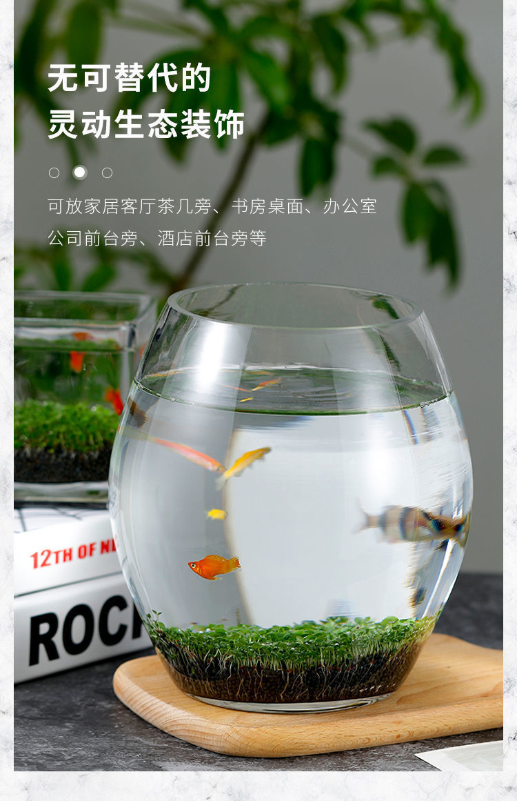 fee4f46a-2ae0-448d-ae0a-4ee410ae61b8.jpe