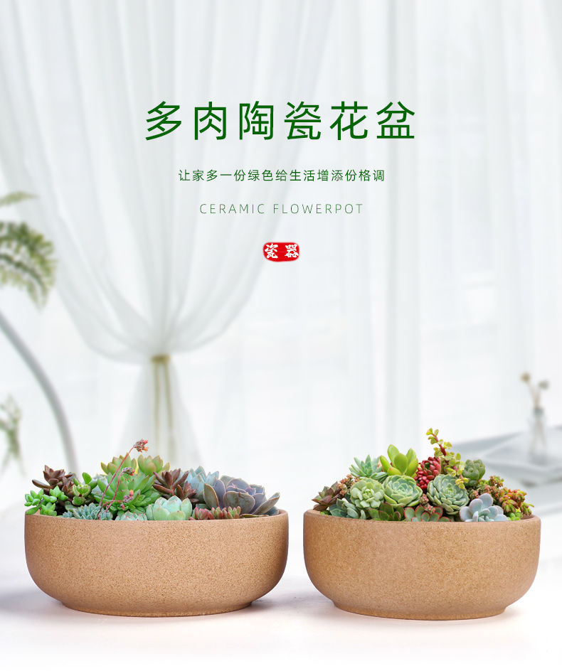 6774cd6a-11ba-41d1-95cb-b0f75fca08b2.jpe