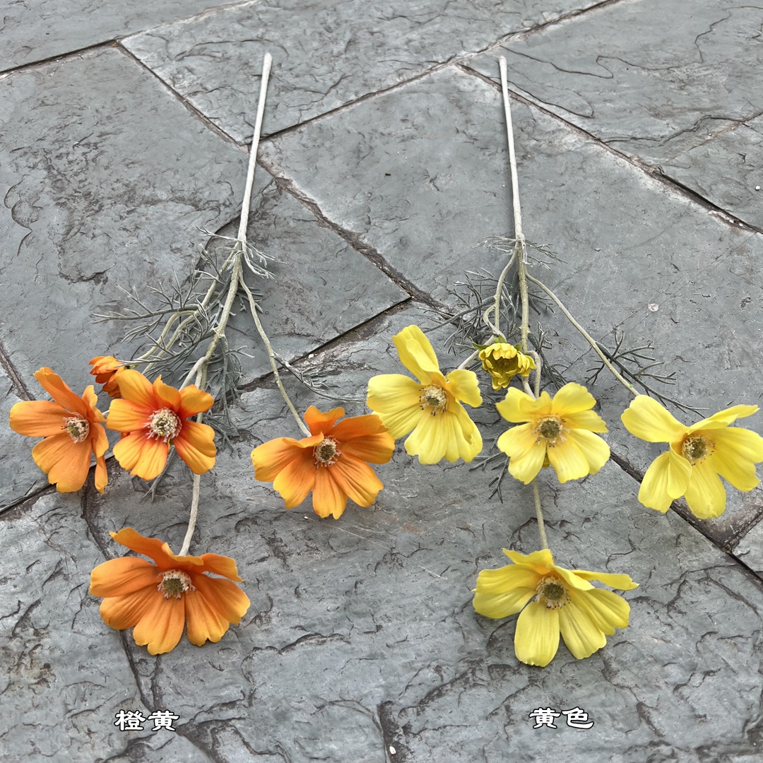 微信图片_20220618154946