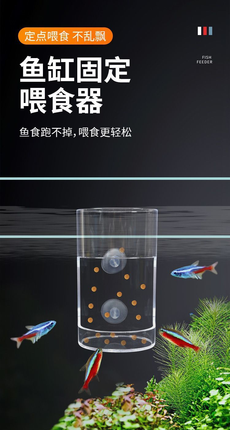 28d37258-8843-4fa2-97c0-6d7bf348cff0.jpe