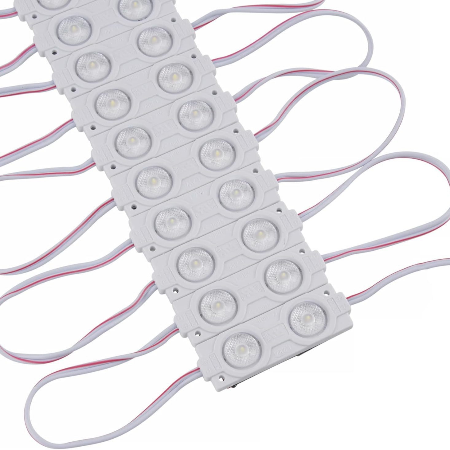 2024-09-12 14:41:48.jpg