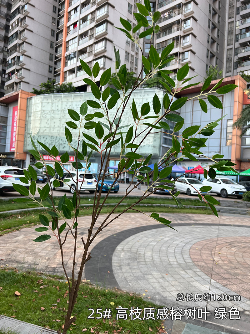 25#-高枝质感榕树叶-绿色.jpg