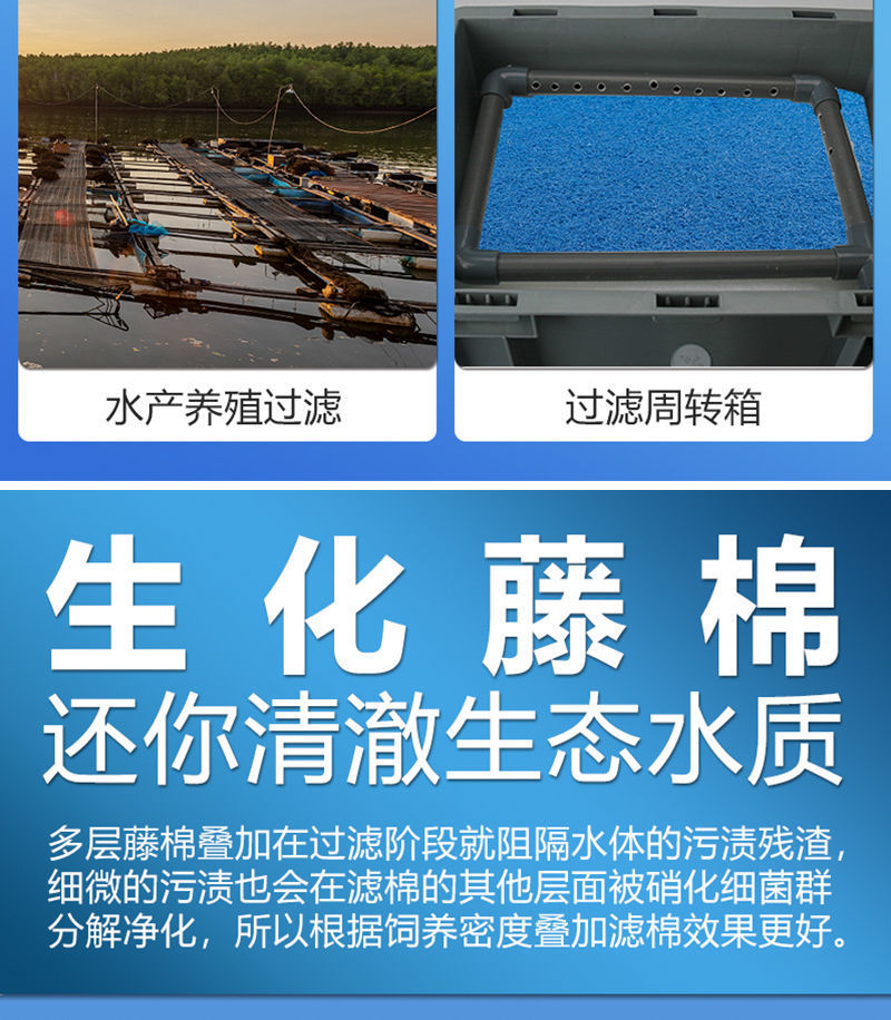 9053e704-ace5-452f-8b9d-d7ba112ef7fd.jpe