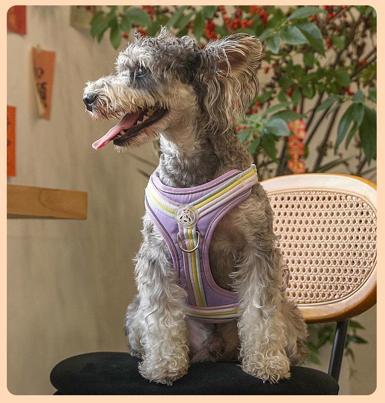 ff11ce75-9b11-4655-a818-ee28731e3ab9.jpe