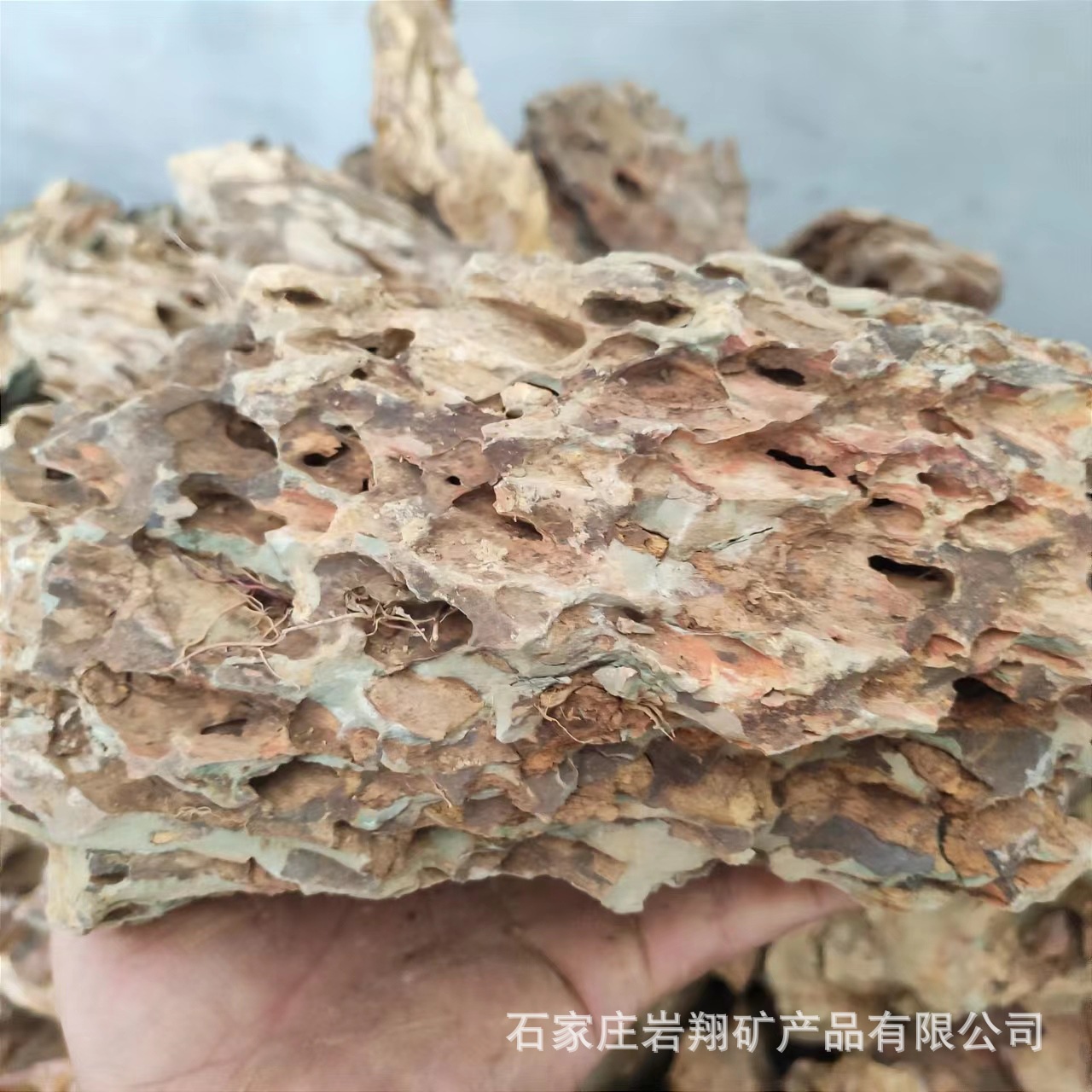 3d07f71635da991d9d583be7a02d0c