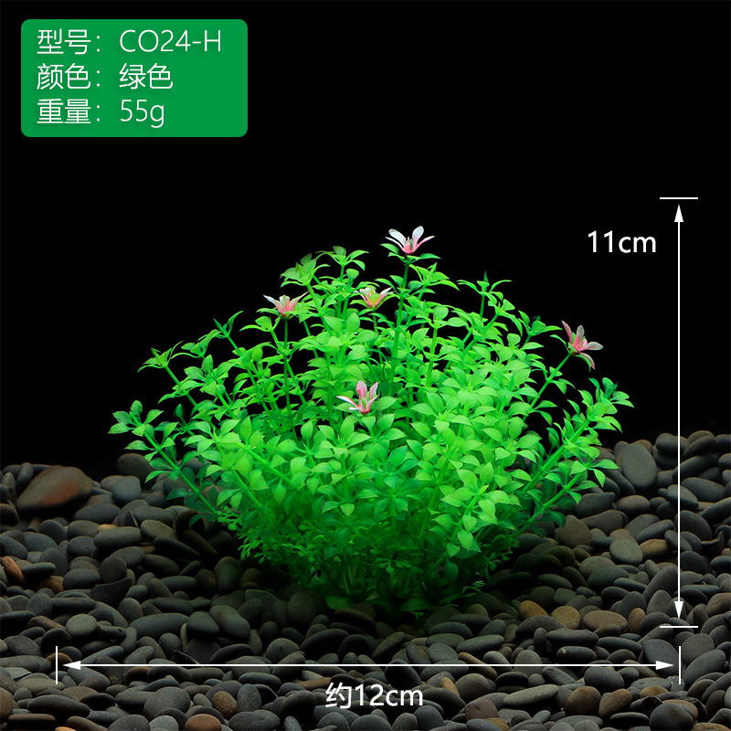 CO24-H绿色.JPG