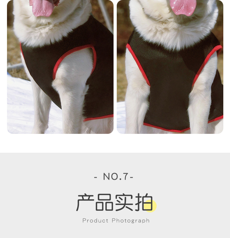 宠物服_11.jpg