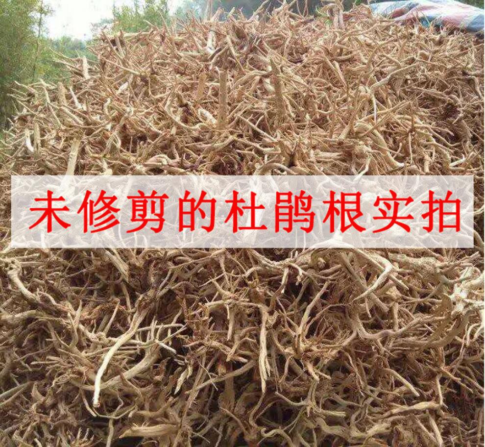 d26586f9-c1f3-4d29-b02b-b1728fc77602.jpe