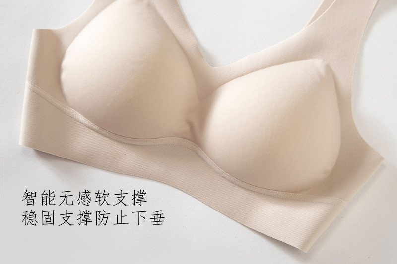 IMG_2516_副本软支撑.jpg