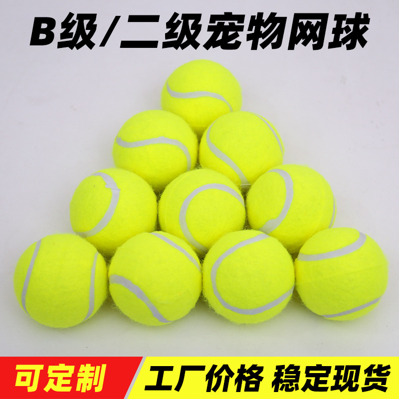 二级宠物网球