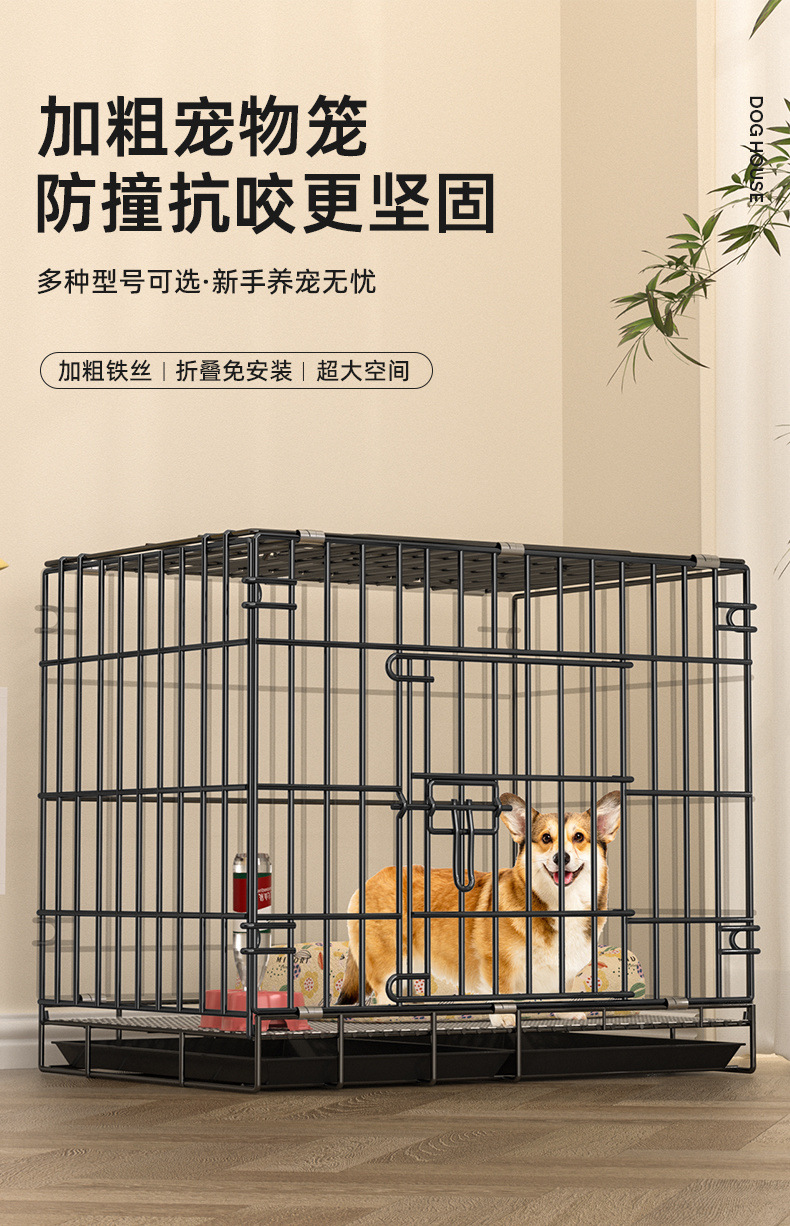 d222c7ba-c22a-4fc1-bb2e-5a556dd36155.jpe