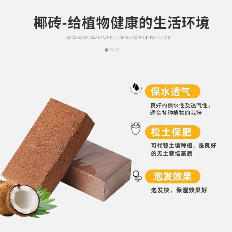4c0c625e-658f-4954-b4d2-25c5f1ef7a36.jpe