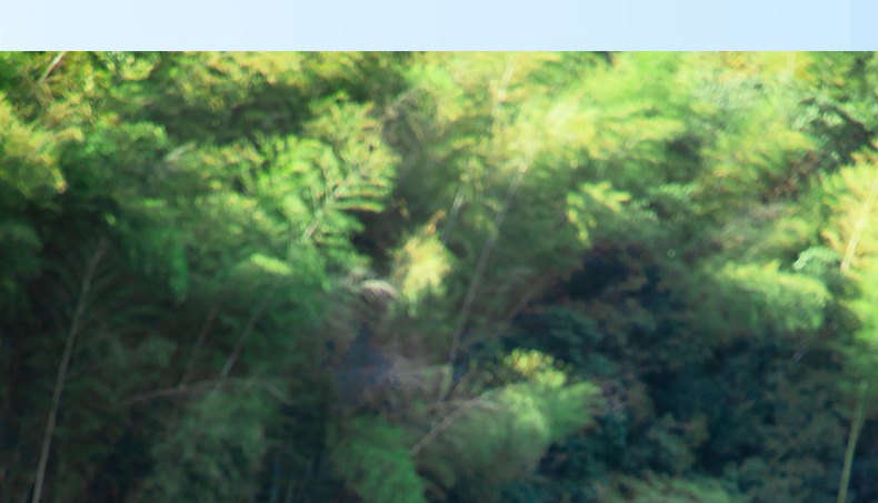 37331e4d-93c8-4747-abc1-93bfae2e0df6.jpe