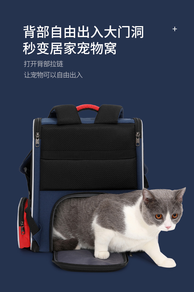 page210708_09.jpg