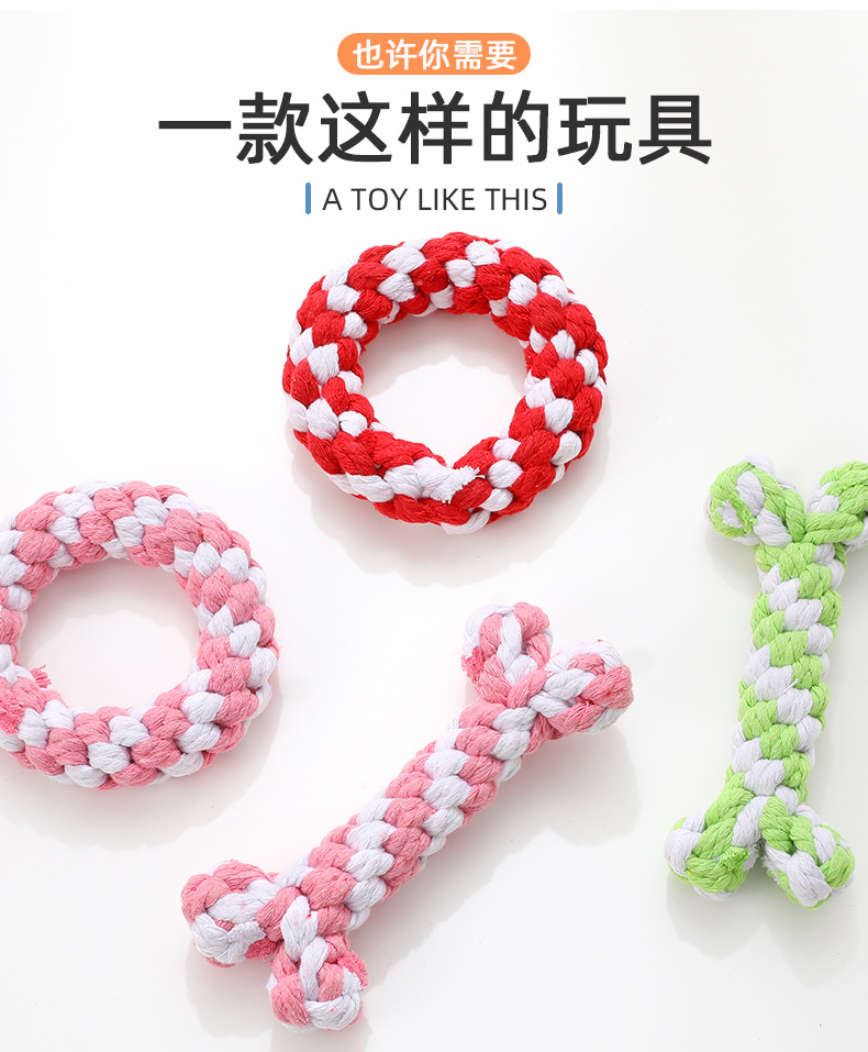 动物_09