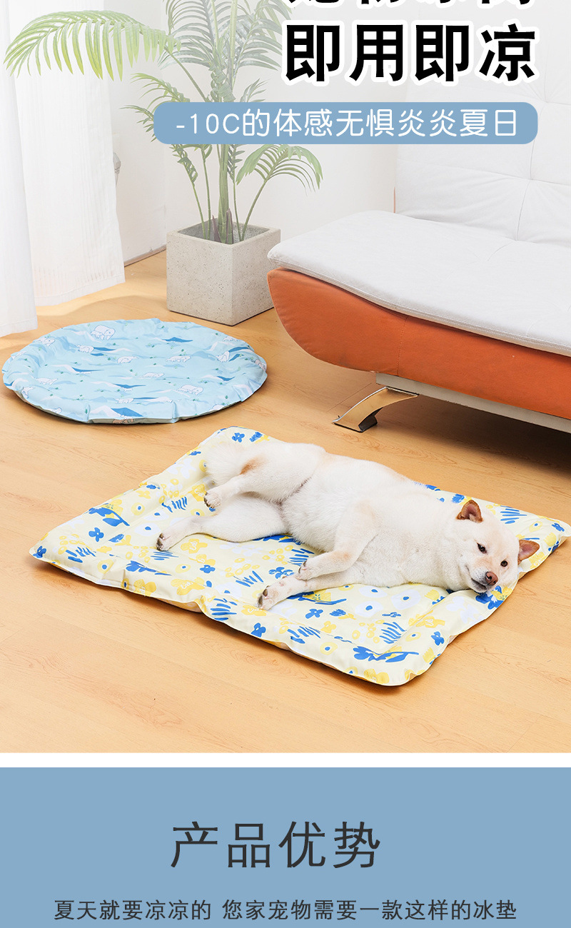 5b1b0d11-22d5-4216-a1c1-5e659521c821.jpe