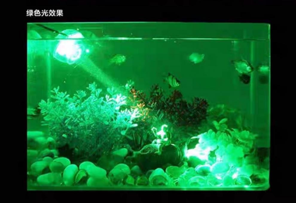 81b4d9d6-f4c6-4fbd-9742-2196577a8c50.jpe