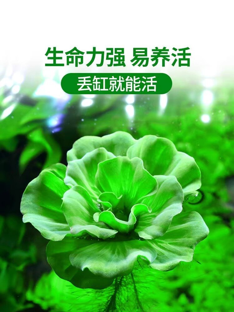 836b9c59-e0c9-477a-be0c-f9e3a059b043.jpe