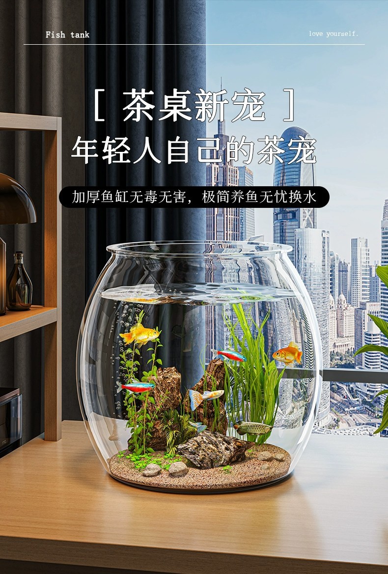 916d2051-8c91-493d-af9f-d0c558f34d85.jpe