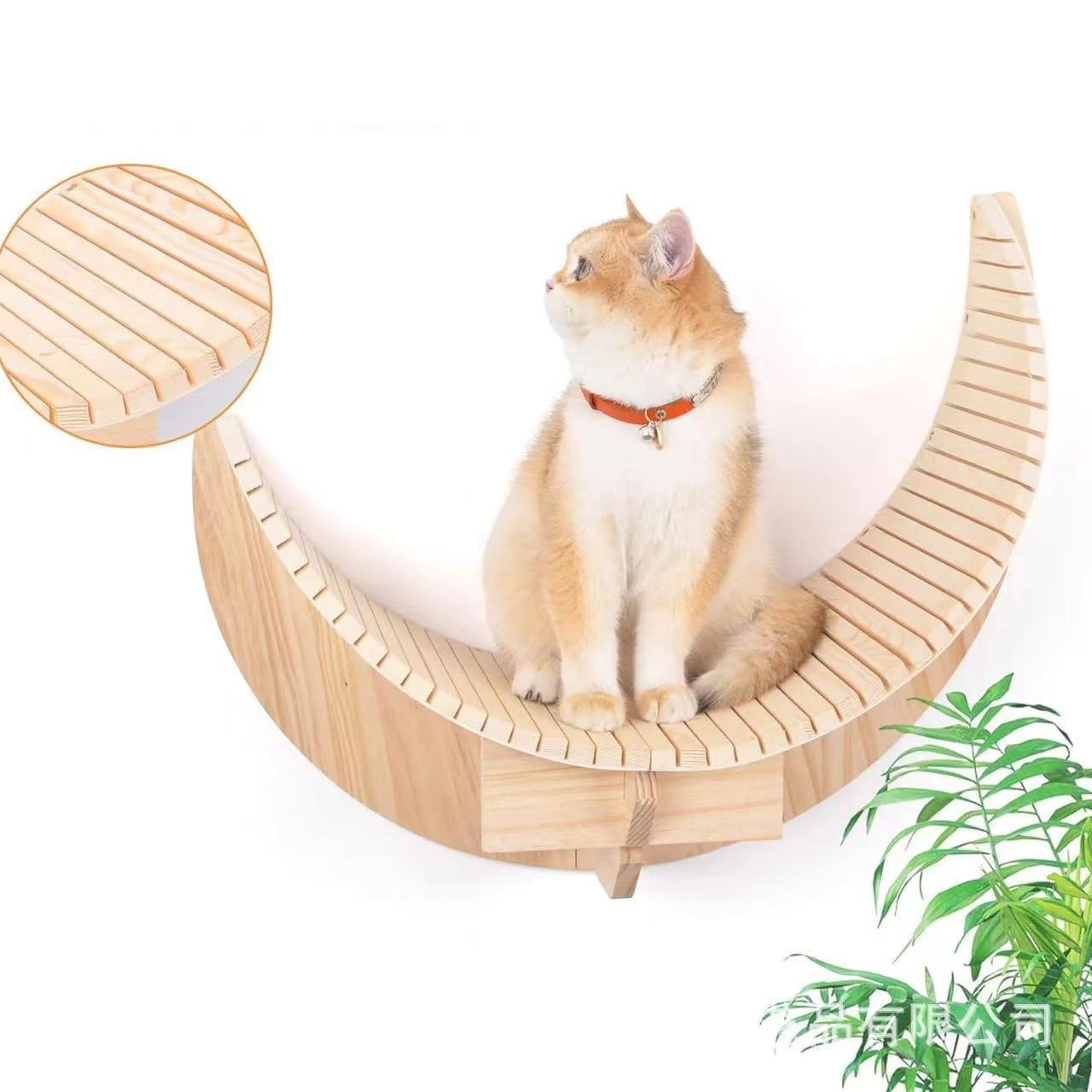 微信图片_202506181737241