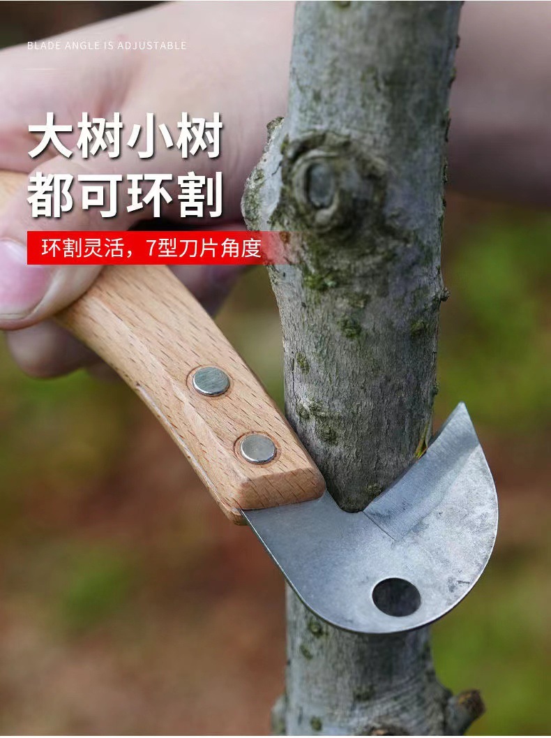 详情6.jpg