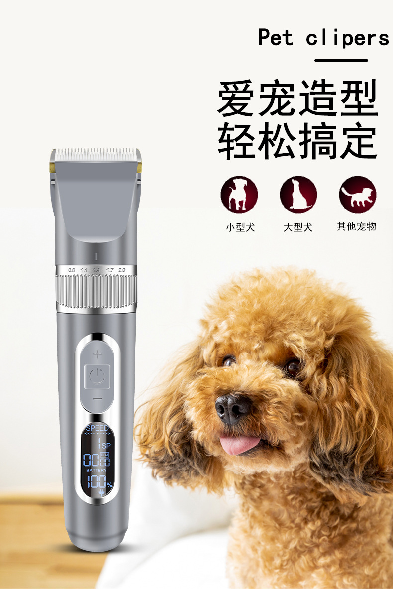 Q8宠物理发器_01